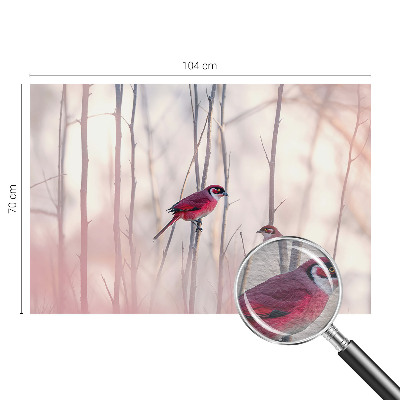 Høj kvalitet fototapet Fuglepar