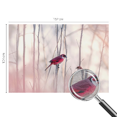 Høj kvalitet fototapet Fuglepar