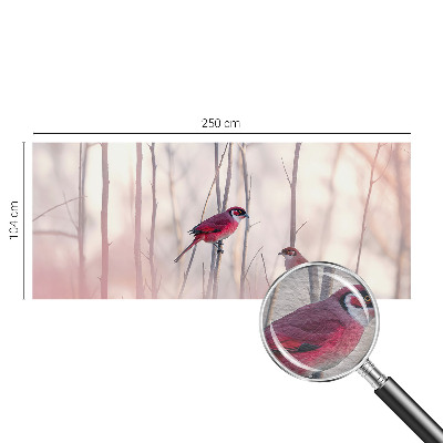 Høj kvalitet fototapet Fuglepar