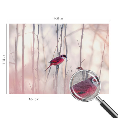 Høj kvalitet fototapet Fuglepar