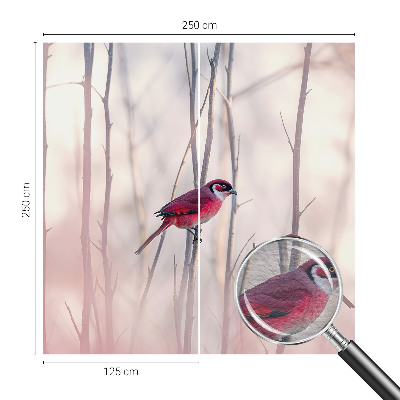 Høj kvalitet fototapet Fuglepar