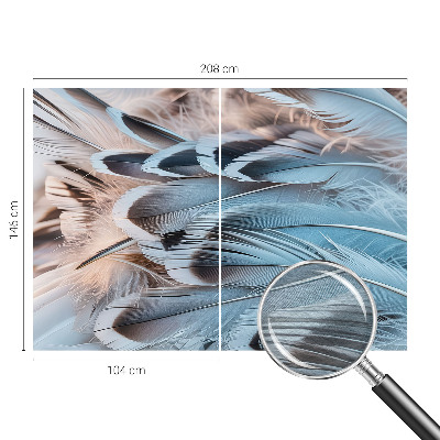 Modern fototapet Blå fjer