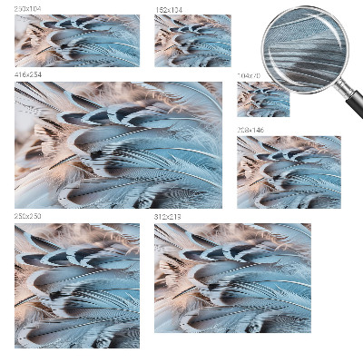 Modern fototapet Blå fjer