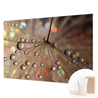 Fototapet på mål Perledråber