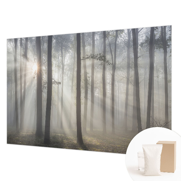 Foto tapet med motiv af en æterisk skov