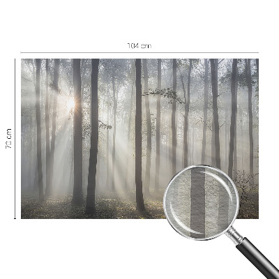 Foto tapet med motiv af en æterisk skov