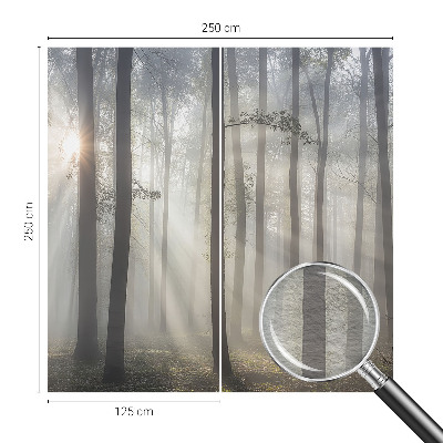 Foto tapet Æterisk skov