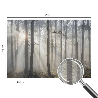 Foto tapet Æterisk skov