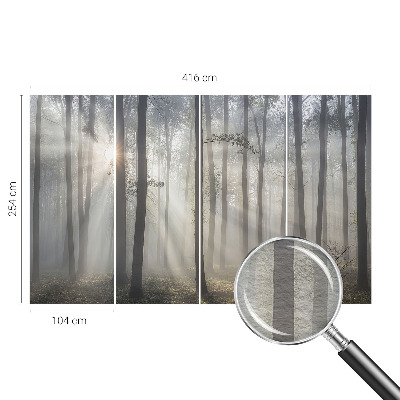 Foto tapet Æterisk skov