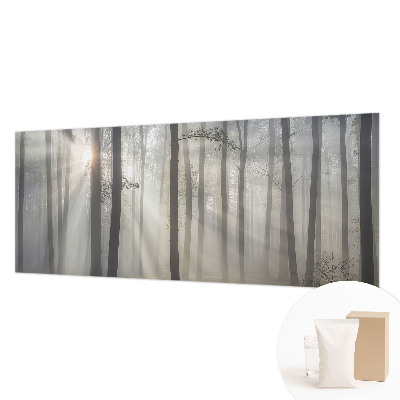 Foto tapet med motiv af en æterisk skov