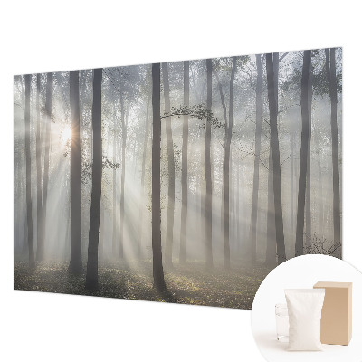 Foto tapet med motiv af en æterisk skov