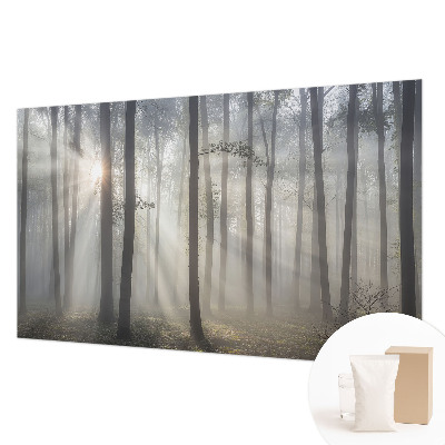 Foto tapet med motiv af en æterisk skov