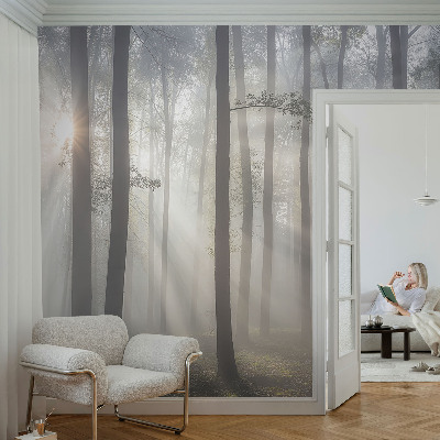 Foto tapet med motiv af en æterisk skov