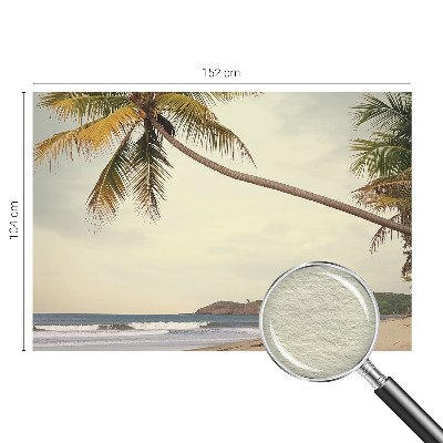 Fototapet stue Tropisk landskab