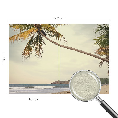 Fototapet stue Tropisk landskab