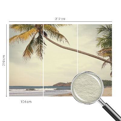 Fototapet stue Tropisk landskab