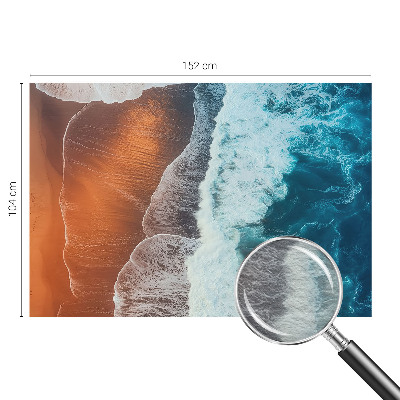 3D fototapet Marin symbiose