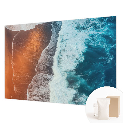 3D fototapet Marin symbiose