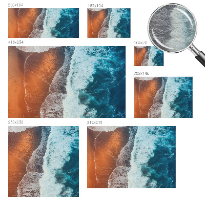 3D fototapet Marin symbiose