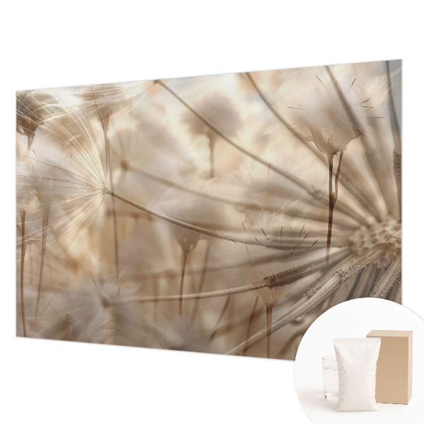 Fototapet Diskrete mælkebøtter