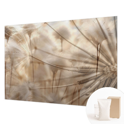 Fototapet Diskrete mælkebøtter