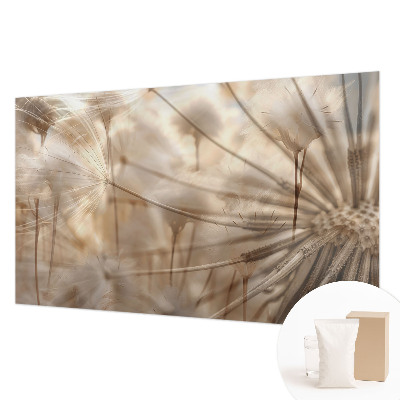 Fototapet Diskrete mælkebøtter