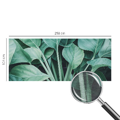 Fotovæg stue i grønne naturfarver