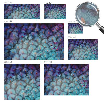 Fototapet stue Farverige fjer