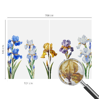 Vlies fototapet Irisblomster