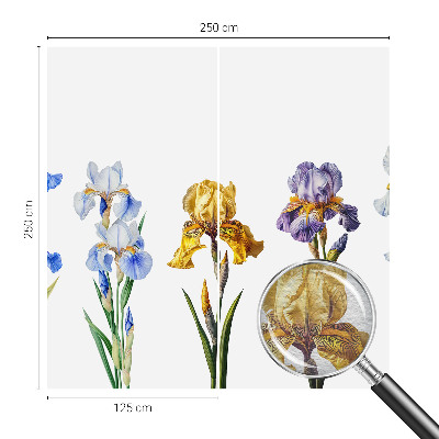 Vlies fototapet Irisblomster