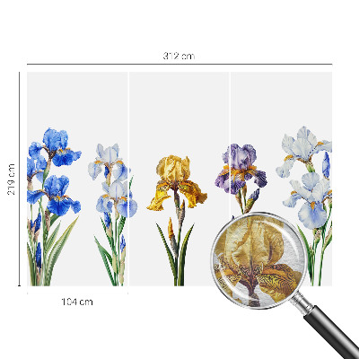 Vlies fototapet med motiv af irisblomster