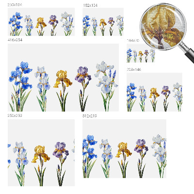 Vlies fototapet Irisblomster