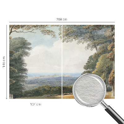 Fototapet soveværelse Skovklædt landskab