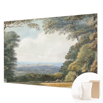 Fototapet soveværelse Skovklædt landskab