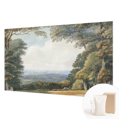 Fototapet soveværelse Skovklædt landskab