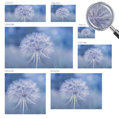 Foto tapet med blå delikatesse som motiv