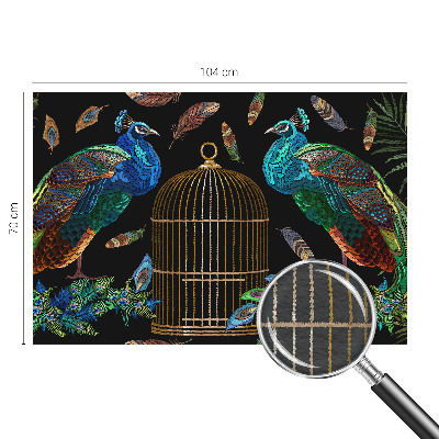 Foto tapet Påfugl billede