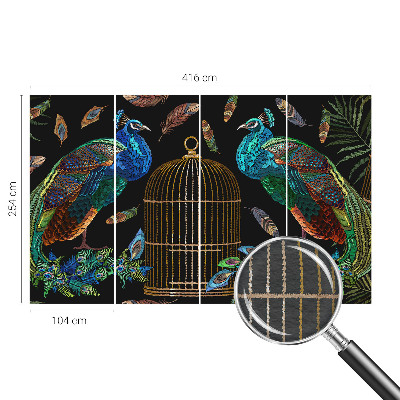 Foto tapet Påfugl billede