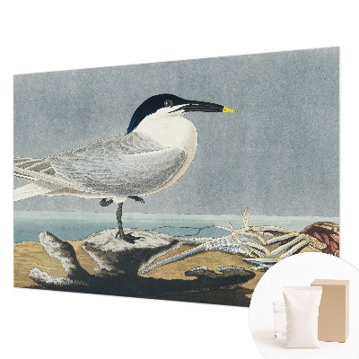 Fotostat med motiv af fugle i et stilfuldt, ornitologisk design