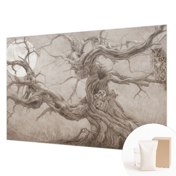 Fototapet soveværelse Natfugle