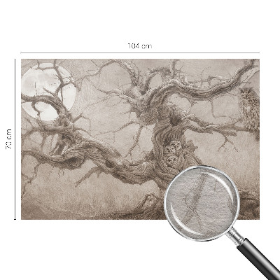 Fototapet soveværelse Natfugle