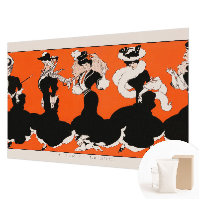 3D fototapet Dametøj