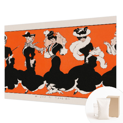 3D fototapet Dametøj