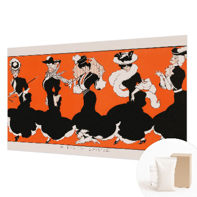 3D fototapet Dametøj