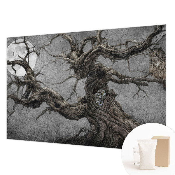Non-woven fototapet med motiv af en mystisk ugle