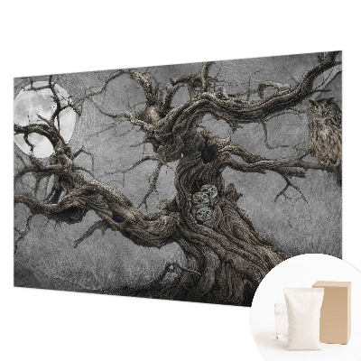 Non-woven fototapet med motiv af en mystisk ugle