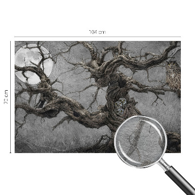 Non-woven fototapet med motiv af en mystisk ugle