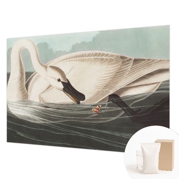 Fototapet børneværelse Naturens harmoni