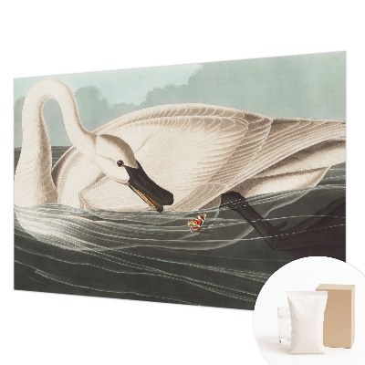 Fototapet børneværelse Naturens harmoni