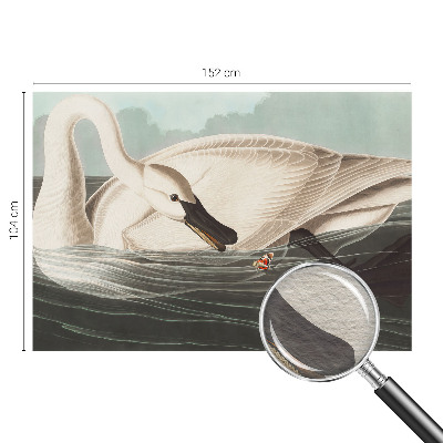 Fototapet børneværelse Naturens harmoni